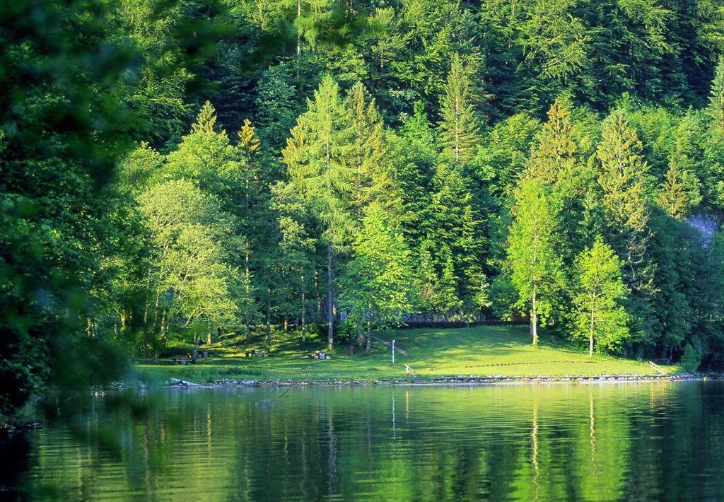 אוברטראון Park Am See מראה חיצוני תמונה